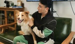 林生斌最新爆料女儿,女儿离世真相令人震惊