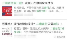 自媒体爆料深圳最新消息,揭秘城市动态与热点事件