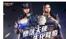 神鹿峰最新爆料,揭秘不为人知的背后真相