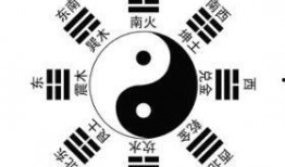 阿参最新八卦爆料,娱乐圈最新重磅八卦，真相令人震惊！