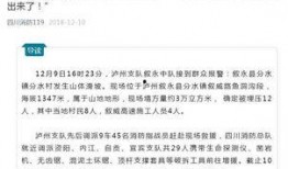 泸州最新爆料新闻报道网,揭秘事件背后真相