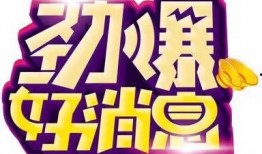 高密碧桂园爆料最新消息,揭秘项目进展与未来规划